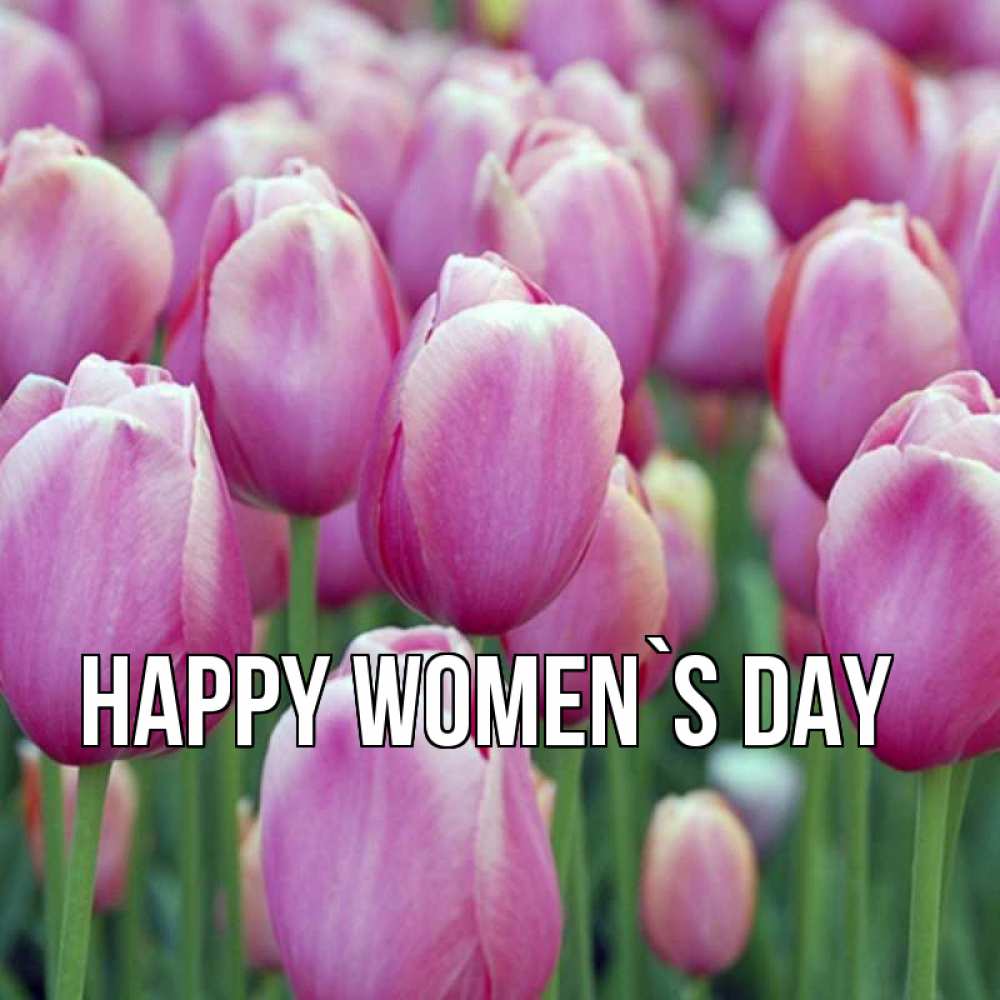 Greetings card с именем, выберите-имя happy women`s day на международный женский день 3 Greetings with text for free download 
